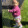 toddler, child, girl, outdoor, playground, chain_link_fence, grass, sunny, yellow_bow, pink_sweater, floral_pants, white_sneakers, holding_fence, curious, standing, daylight, park, play_equipment, person, casual_clothing