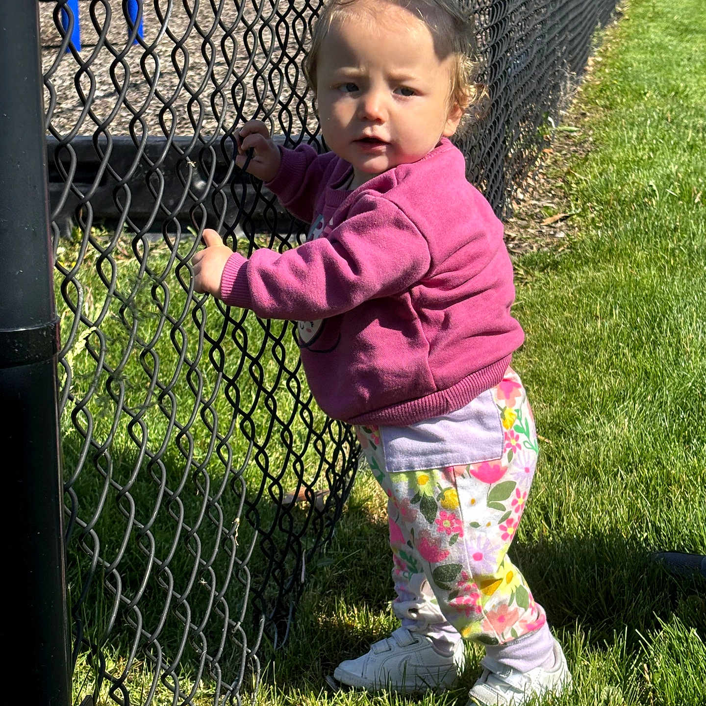 Sophia Grace joined the competition — help win amazing prizes! toddler, child, girl, outdoor, playground, chain_link_fence, grass, sunny, yellow_bow, pink_sweater, floral_pants, white_sneakers, holding_fence, curious, standing, daylight, park, play_equipment, person, casual_clothing