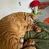 cat, orange_cat, sleeping, relaxed, paw, cushion, indoor, feline, fur, pet, cozy, animal, resting, whiskers, mushroom_scratch_post, carpet, home, cute, pink_nose, tabby