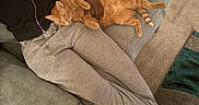 Zen is registered to the contest to win money with this photo: person, cat, orange_tabby, couch, sofa, carpet, sweatpants, sneakers, necklace, indoor, relaxing, pet, animal, feline, casual, comfort, hand, resting, home, living_room