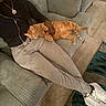 person, cat, orange_tabby, couch, sofa, carpet, sweatpants, sneakers, necklace, indoor, relaxing, pet, animal, feline, casual, comfort, hand, resting, home, living_room