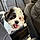 Buddy