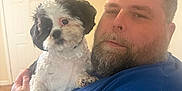 Buddy joined the competition — help win amazing prizes! man, dog, indoor, beard, blue_shirt, holding, pet, calm, portrait, furniture, wall, door, tattoo, short_hair, closeup, light, home, person, animal, companion