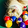 cat, billiard_balls, pool_table, yellow_eyes, closeup, pet, animal, playing, colorful, recreation, indoor, fur, whiskers, curious, leisure, game, orange_cat, relaxed, focus, entertainment