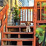 puppy, dog, stairs, wooden_stairs, porch, plant, potted_plant, sunlight, outdoor, pet, animal, wood, railing, fence, leaves, small_dog, young_dog, home, nature, daylight