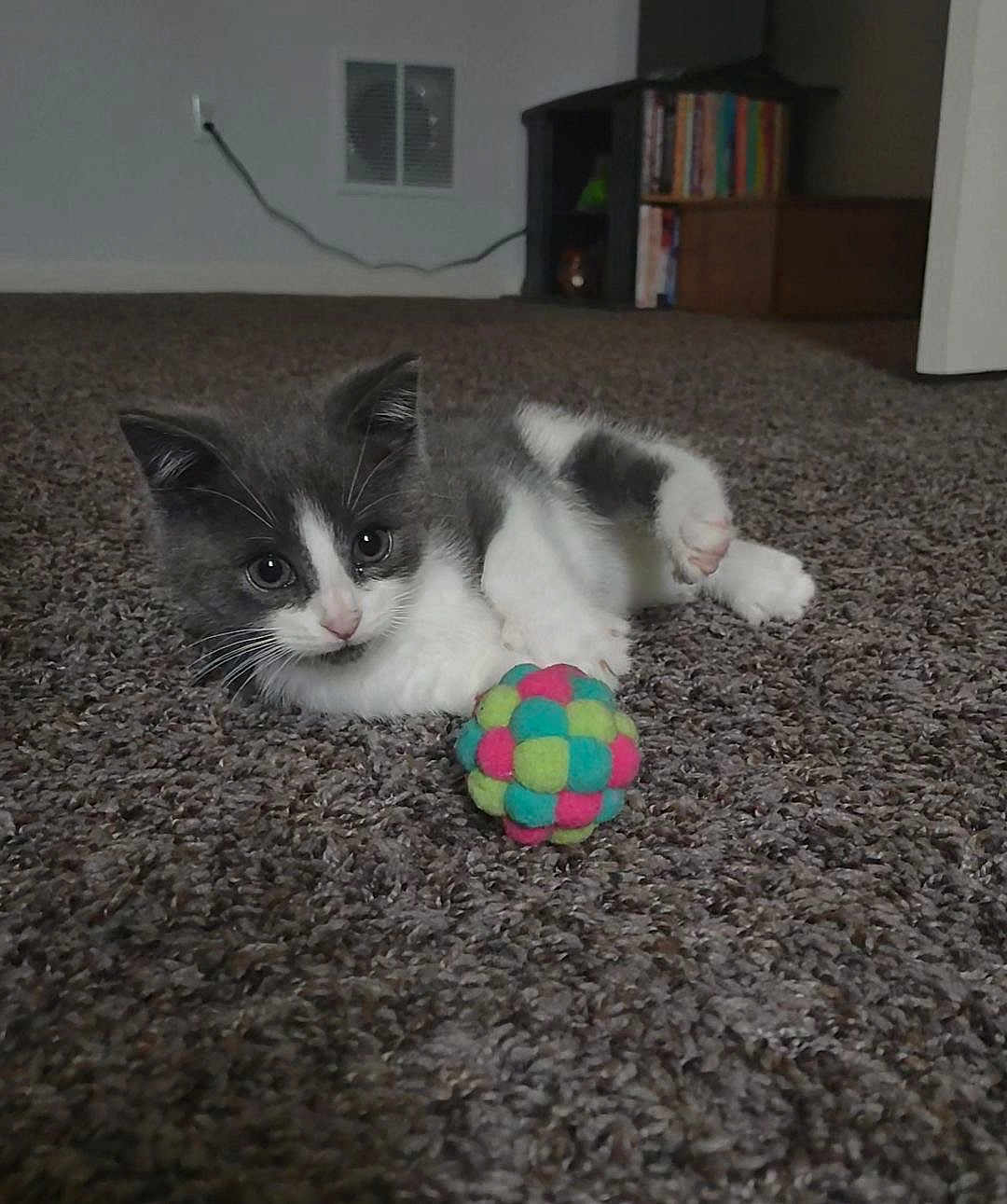 Luna