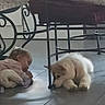 baby, puppy, dog, floor, tile, indoor, furniture, metal, cushion, curious, lying_down, child, pet, home, animal, interaction, young, cute, domestic, resting
