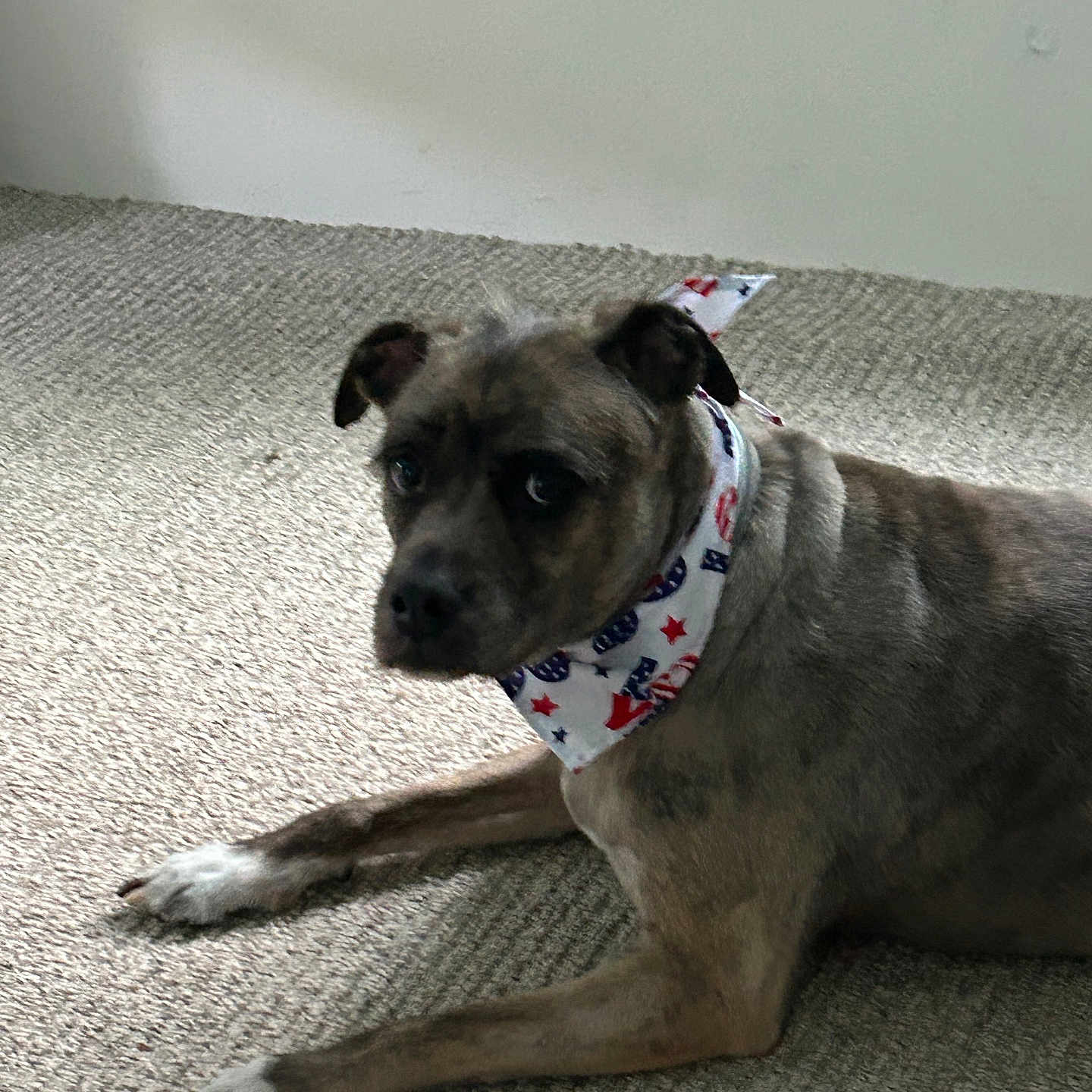 Tonka