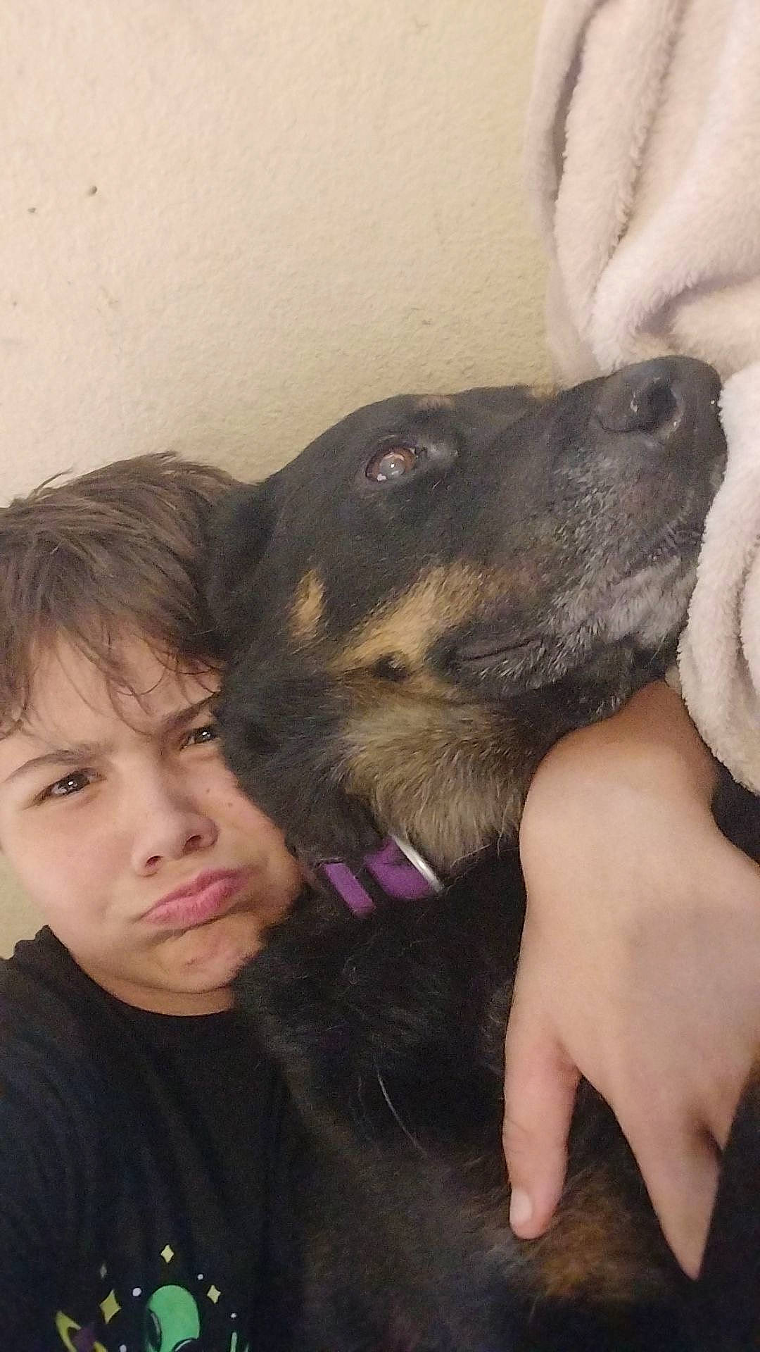 Lucy is registered to the contest to win money with this photo: canidae, carnivore, collar, companion_dog, dog, dog_breed, dog_collar, ear, fawn, fun, fur, gesture, giant_dog_breed, guard_dog, happy, selfie, sporting_group, toddler, whiskers, working_animal