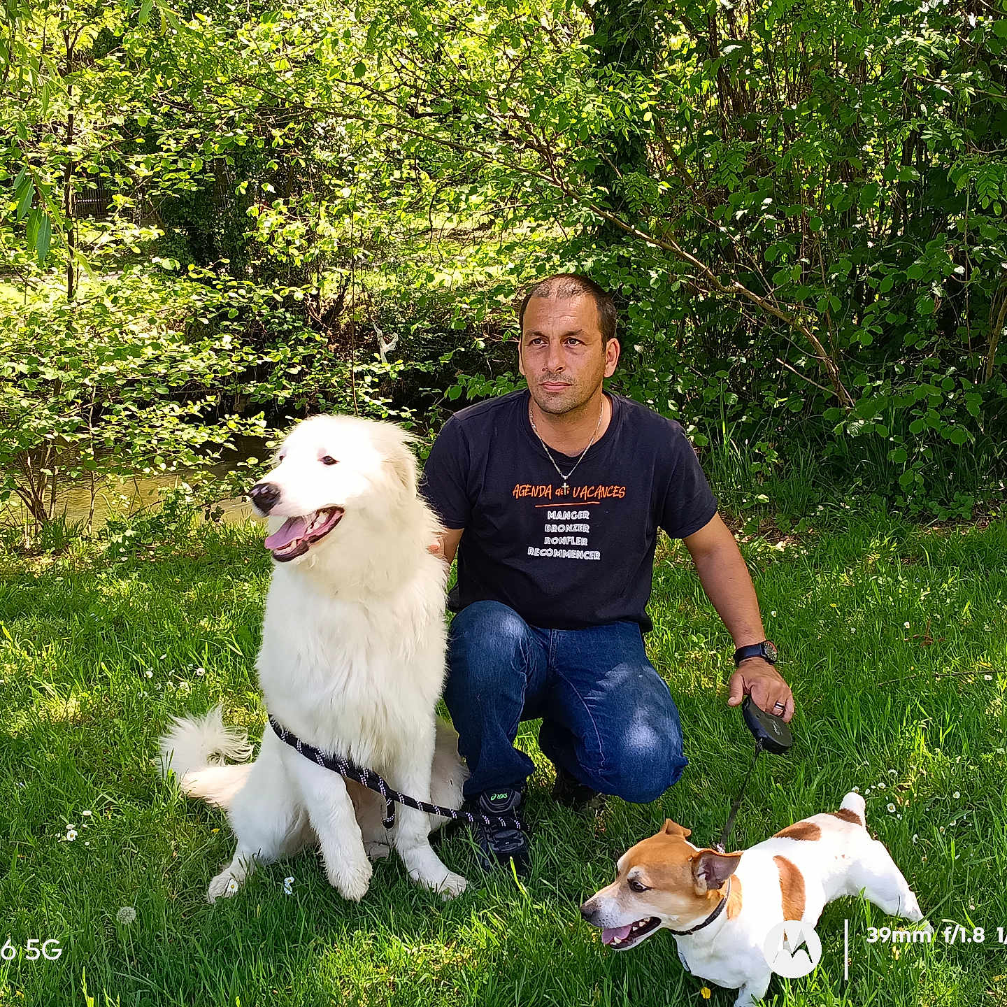 Taz Et Elvis a rejoint le concours — aidez-le/la à gagner de superbes lots ! man, dog, white_dog, small_dog, grass, greenery, trees, sunlight, outdoor, nature, pet, leash, crouching, casual_clothing, happy, playing, park, summer, canine, animal