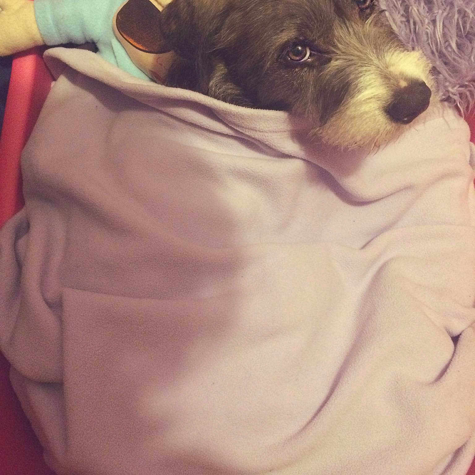 Nala