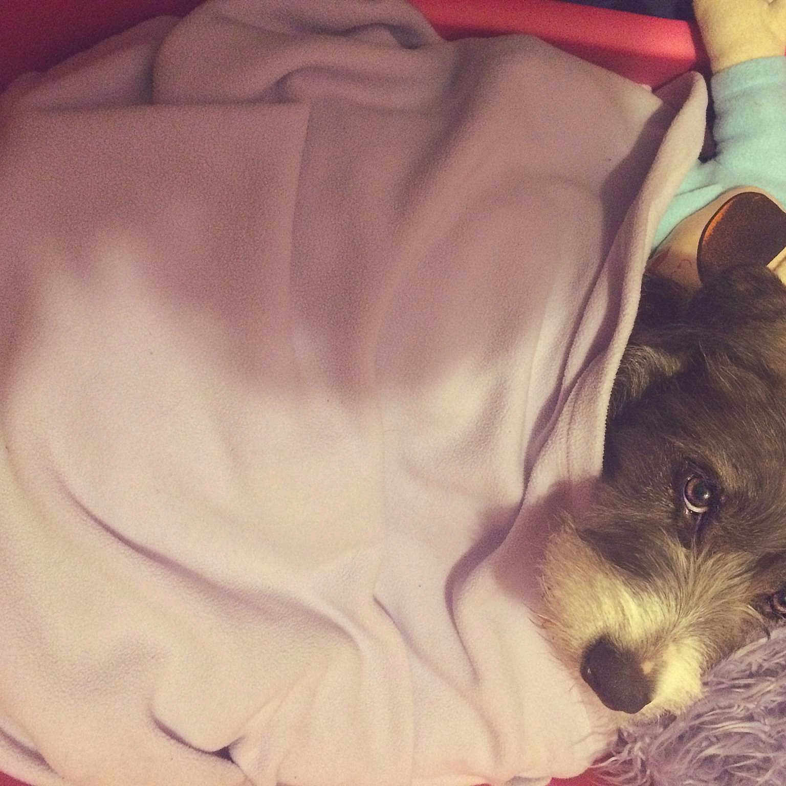 Nala is registered to the contest to win money with this photo: