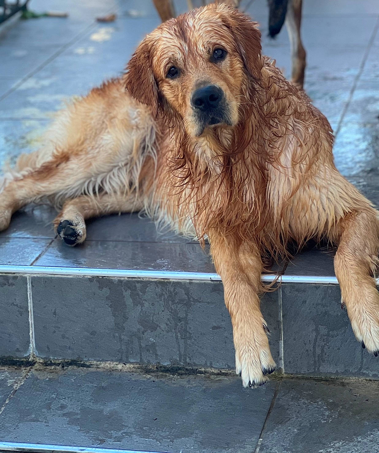 Charlie