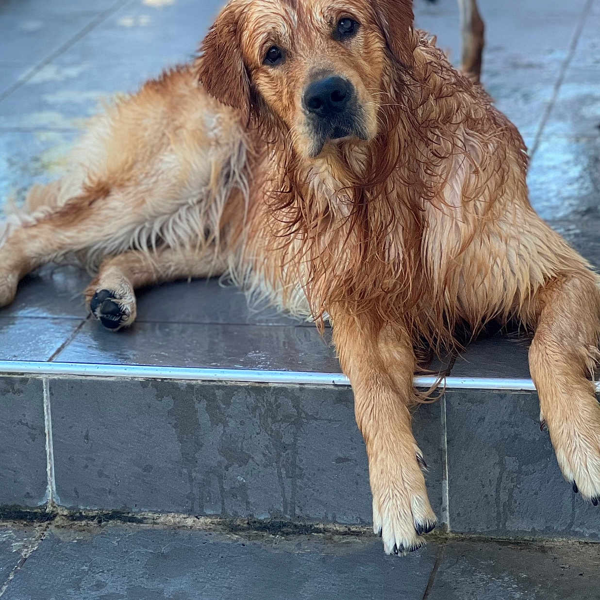 Charlie