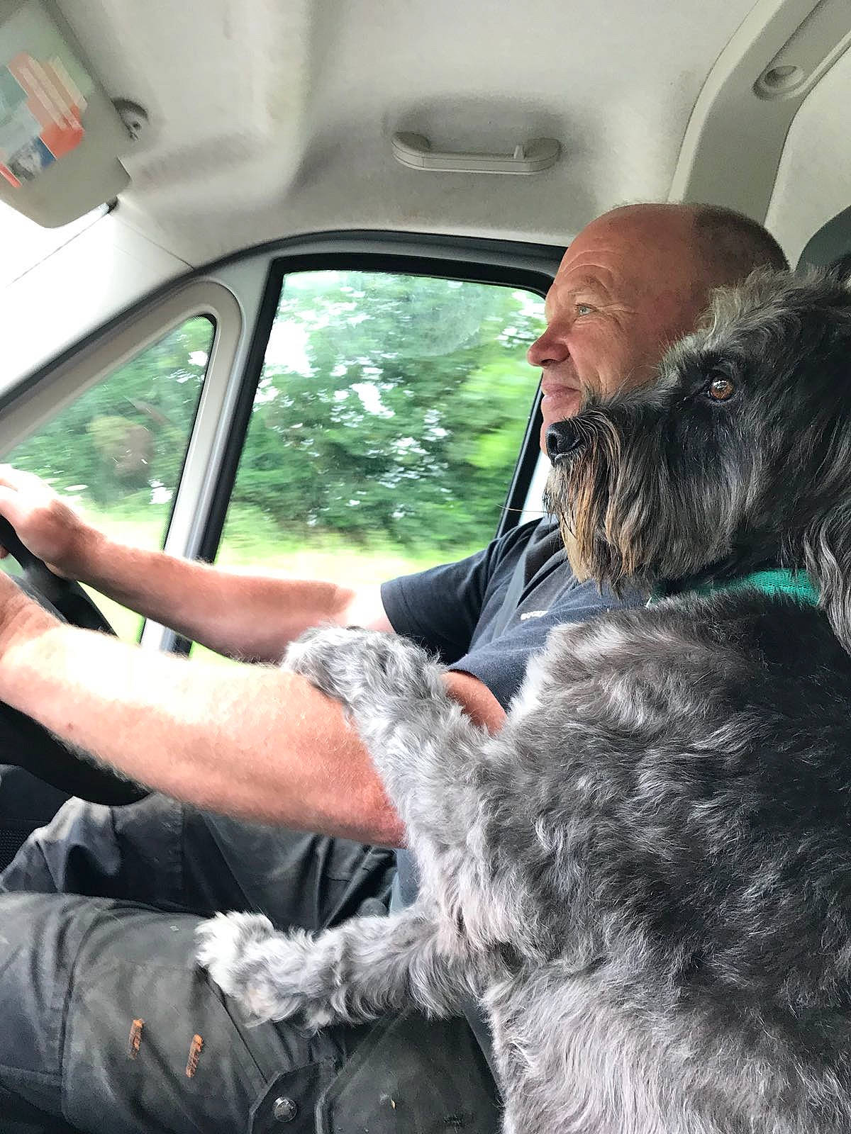 Oscar is registered to the contest to win money with this photo: auto_part, automotive_exterior, automotive_window_part, car, car_seat, car_seat_cover, carnivore, companion_dog, dog, dog_breed, family_car, gesture, head_restraint, military_camouflage, military_person, motor_vehicle, seat_belt, vehicle, vehicle_door, window