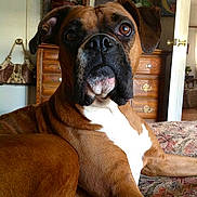 Klhoe is registered to the contest to win money with this photo: