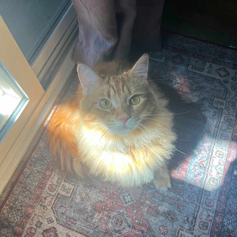 Winnie