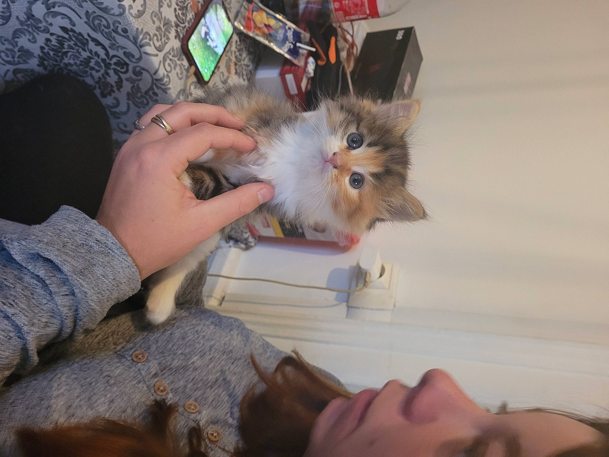 Coquina participe au concours pour gagner de l'argent avec cette photo : canidae, carnivore, cat, companion_dog, dog_breed, ear, eye, eyelash, fawn, felidae, finger, fun, fur, gesture, nail, skin, small_to_medium_sized_cats, snout, whiskers, wrist