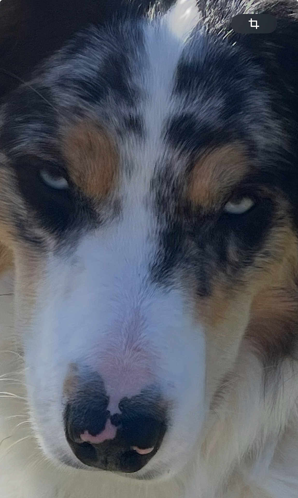 Vasko