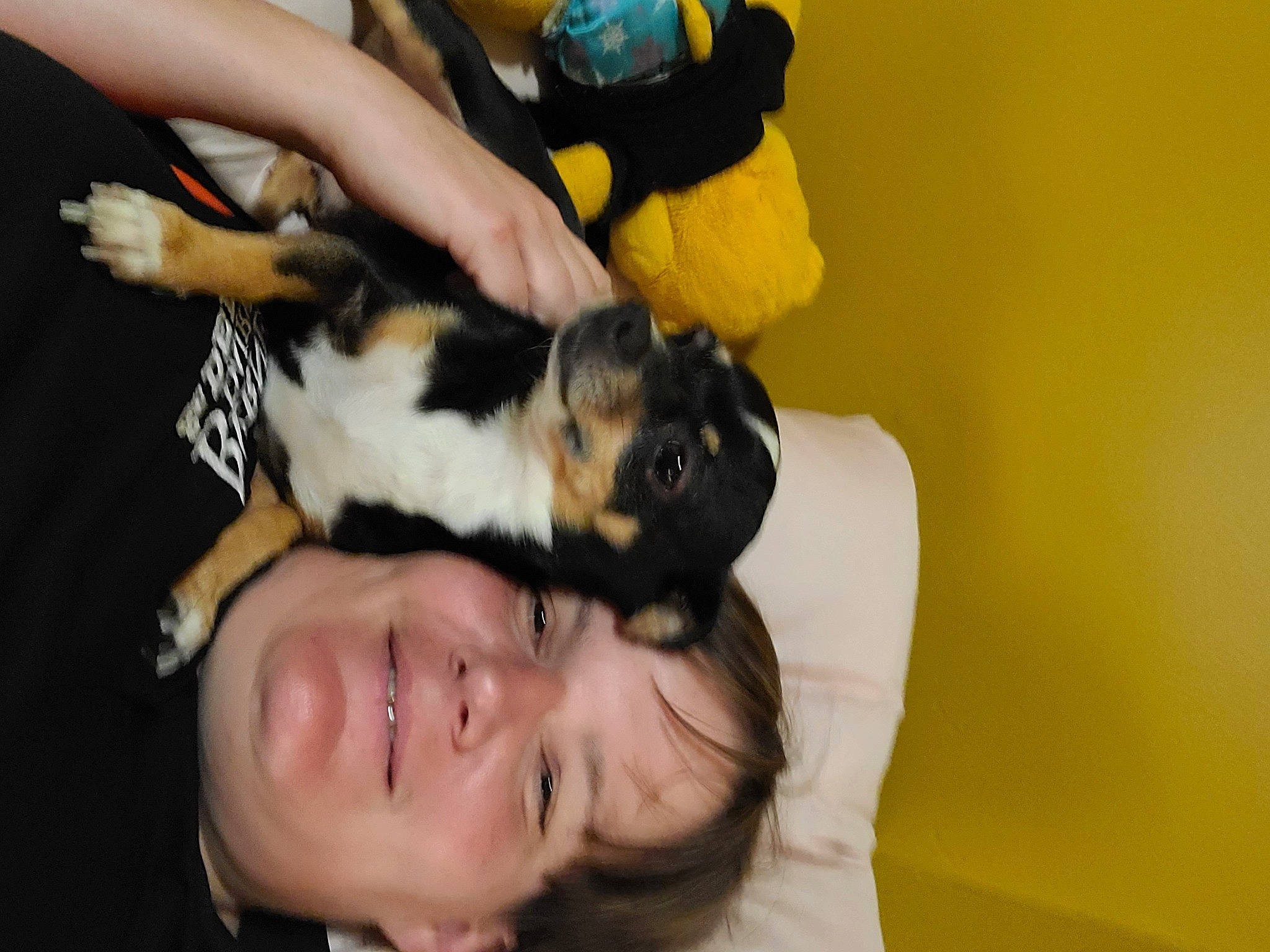 Lady joined the competition — help win amazing prizes! canidae, carnivore, comfort, companion_dog, dog_breed, fawn, felidae, fun, fur, gesture, happy, human_leg, lap, small_to_medium_sized_cats, smile, sporting_group, tail, thigh, toy, whiskers