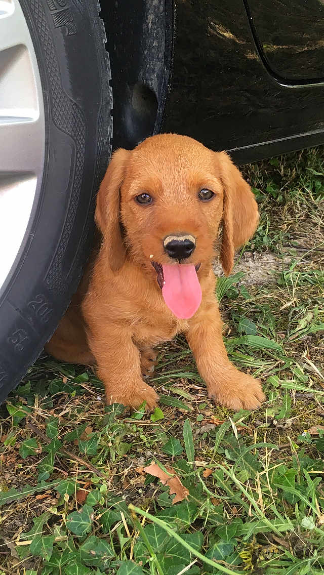Paco