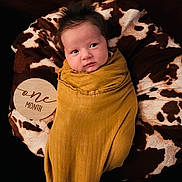 Akari joined the competition — help win amazing prizes! baby, infant, swaddle, yellow_cloth, cow_print, cushion, wooden_sign, one_month, portrait, newborn, cute, face, head, lying_down, soft_texture, cozy, indoors, child, young_baby, blanket