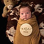 Akari is registered to the contest to win money with this photo: baby, infant, swaddled, brown_wrap, plush_toy, stuffed_animal, bull, cow_pattern, cushion, portrait, newborn, one_month, face, eyes, soft_lighting, indoor, closeup, cute, child, wrapped