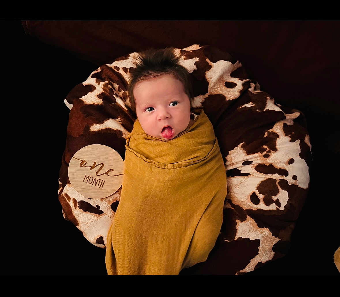Akari is registered to the contest to win money with this photo: baby, infant, swaddle, yellow_cloth, cow_print, cushion, face, tongue_out, newborn, child, one_month, portrait, cute, cozy, lying_down, soft_texture, dark_background, expression, wrapped, person