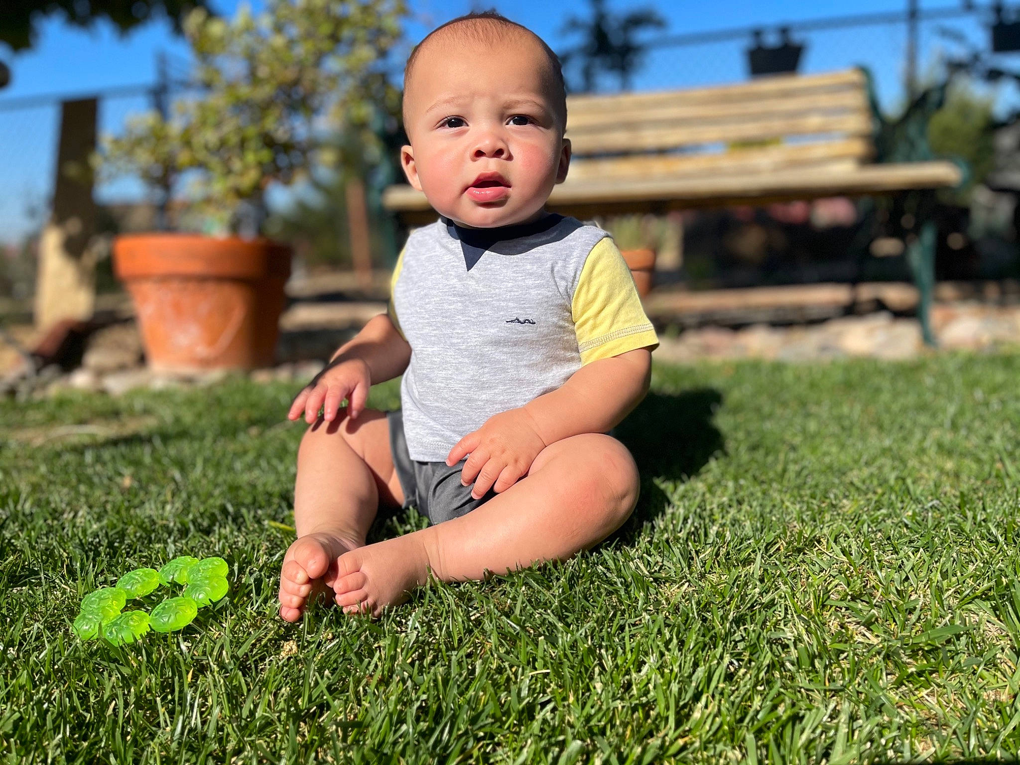 Ruben joined the competition — help win amazing prizes! baby, baby_toddler_clothing, child, flash_photography, flooring, flowerpot, grass, happy, houseplant, leg, leisure, people_in_nature, person, plant, skin, sky, smile, sunlight, toddler, tree