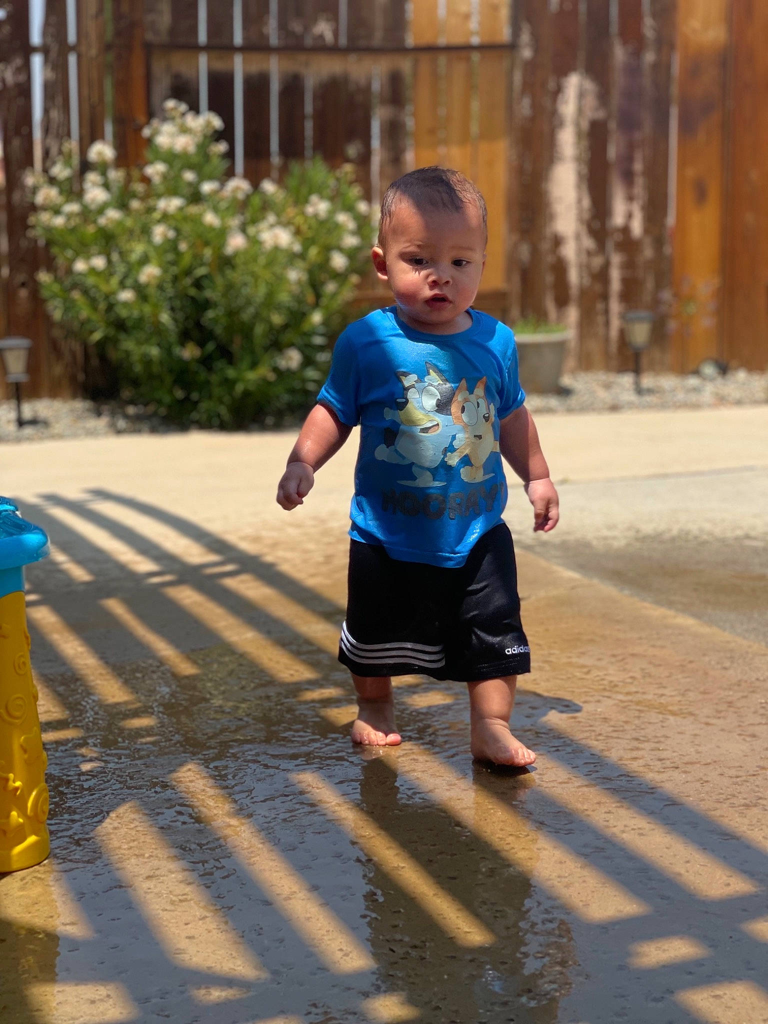 Ruben is registered to the contest to win money with this photo: asphalt, child, electric_blue, flooring, fun, happy, human_leg, leisure, people_in_nature, person, plant, recreation, road, shorts, standing, summer, sunlight, t_shirt, toddler, waist