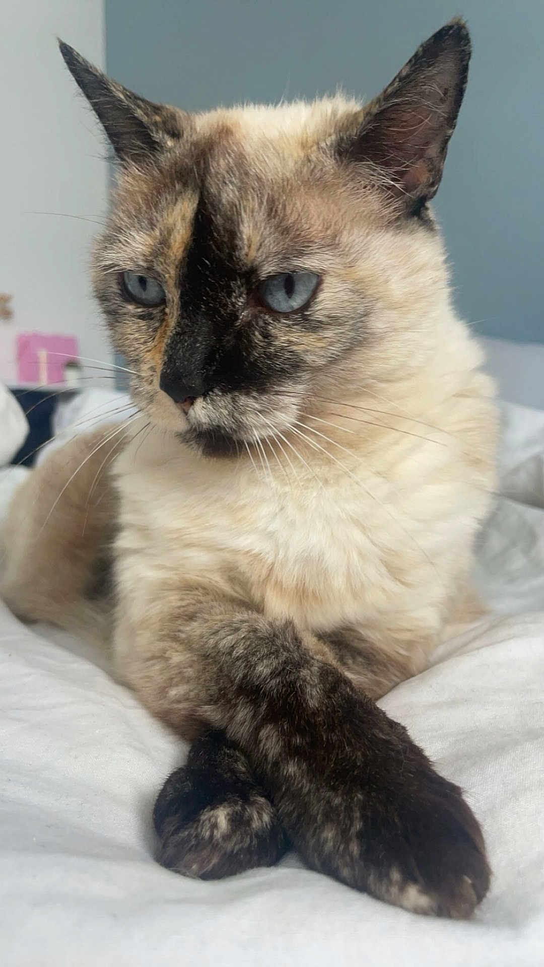 Tara