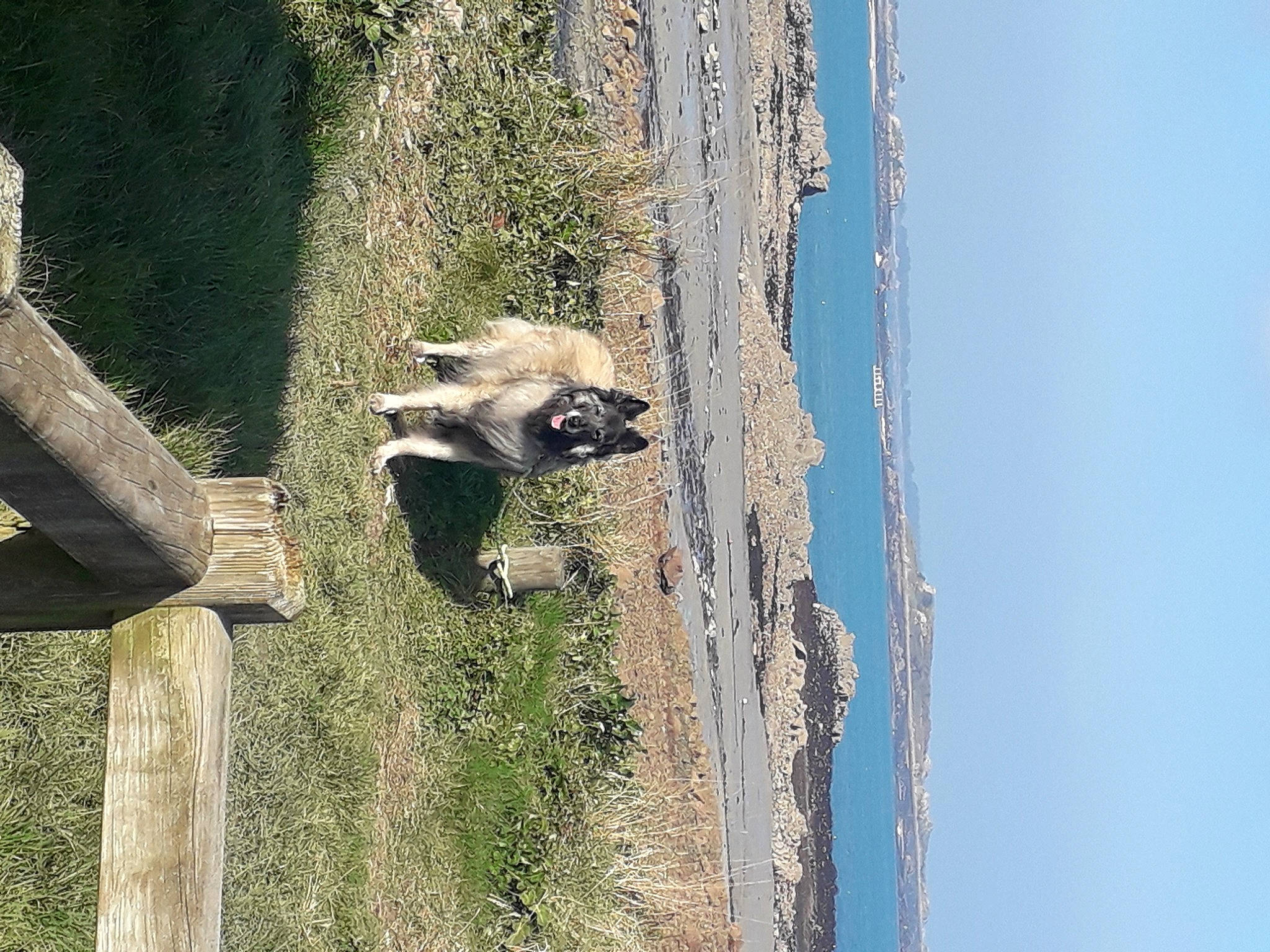 Rexanne a rejoint le concours — aidez-le/la à gagner de superbes lots ! building, canidae, carnivore, fawn, fur, hyena, landscape, marsupial, panda, plant, procyonidae, sky, tail, terrestrial_animal, tree, trunk, water, wildlife, window, wood