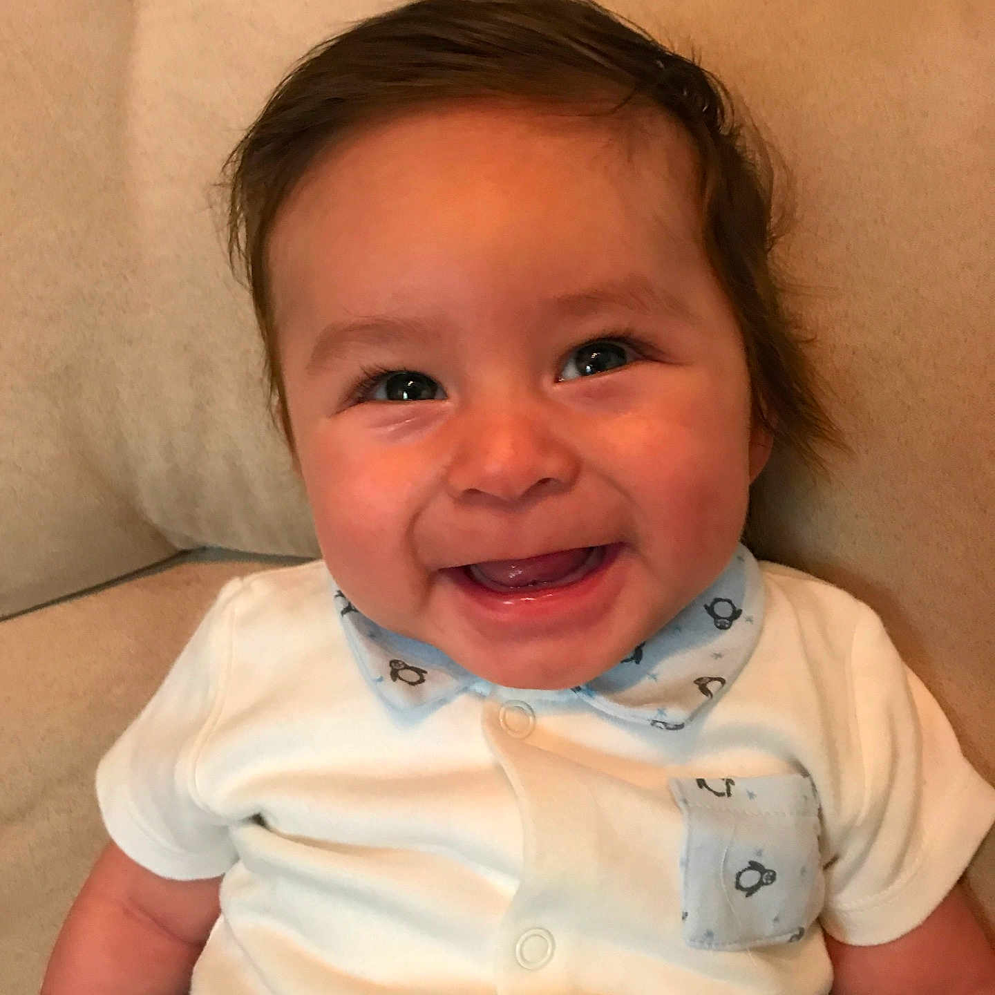 Sebastian is registered to the contest to win money with this photo: arm, cheek, child, chin, close_up, ear, eye, eyebrow, face, finger, forehead, girl, hand, head, infant, lip, mouth, nose, skin, smile