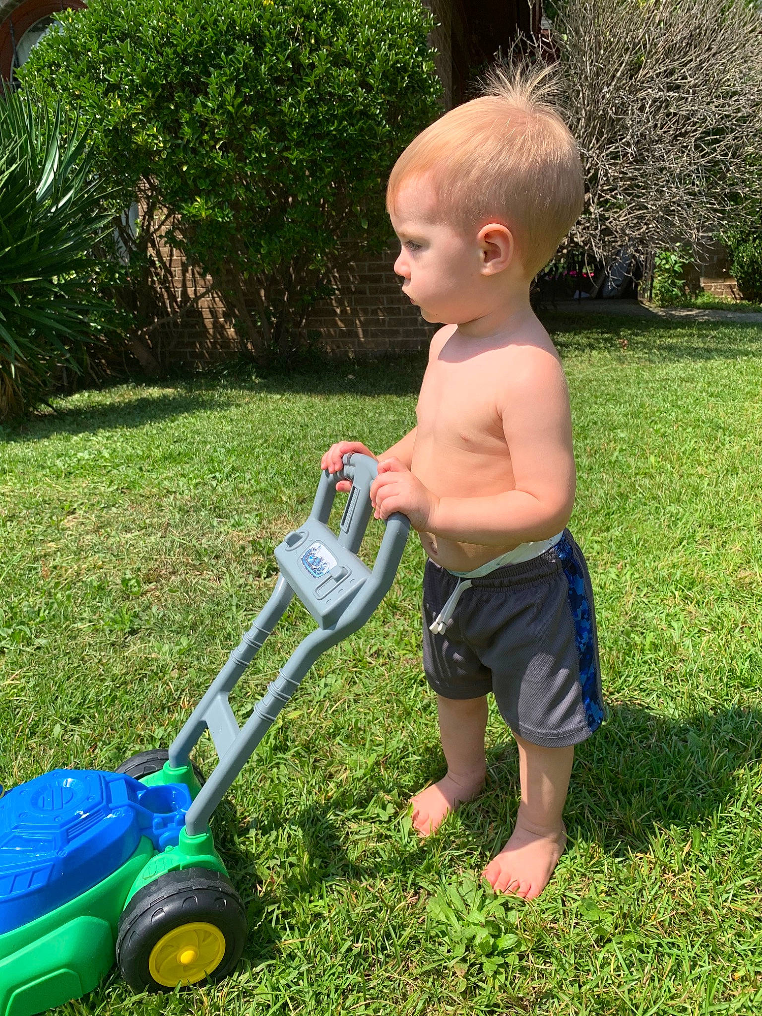 Elijah is registered to the contest to win money with this photo: backyard, child, garden, garden_tool, gardener, gardening, grass, landscaping, lawn, lawn_aerator, lawn_mower, mower, outdoor_power_equipment, person, plant, play, toddler, tool, vehicle, yard