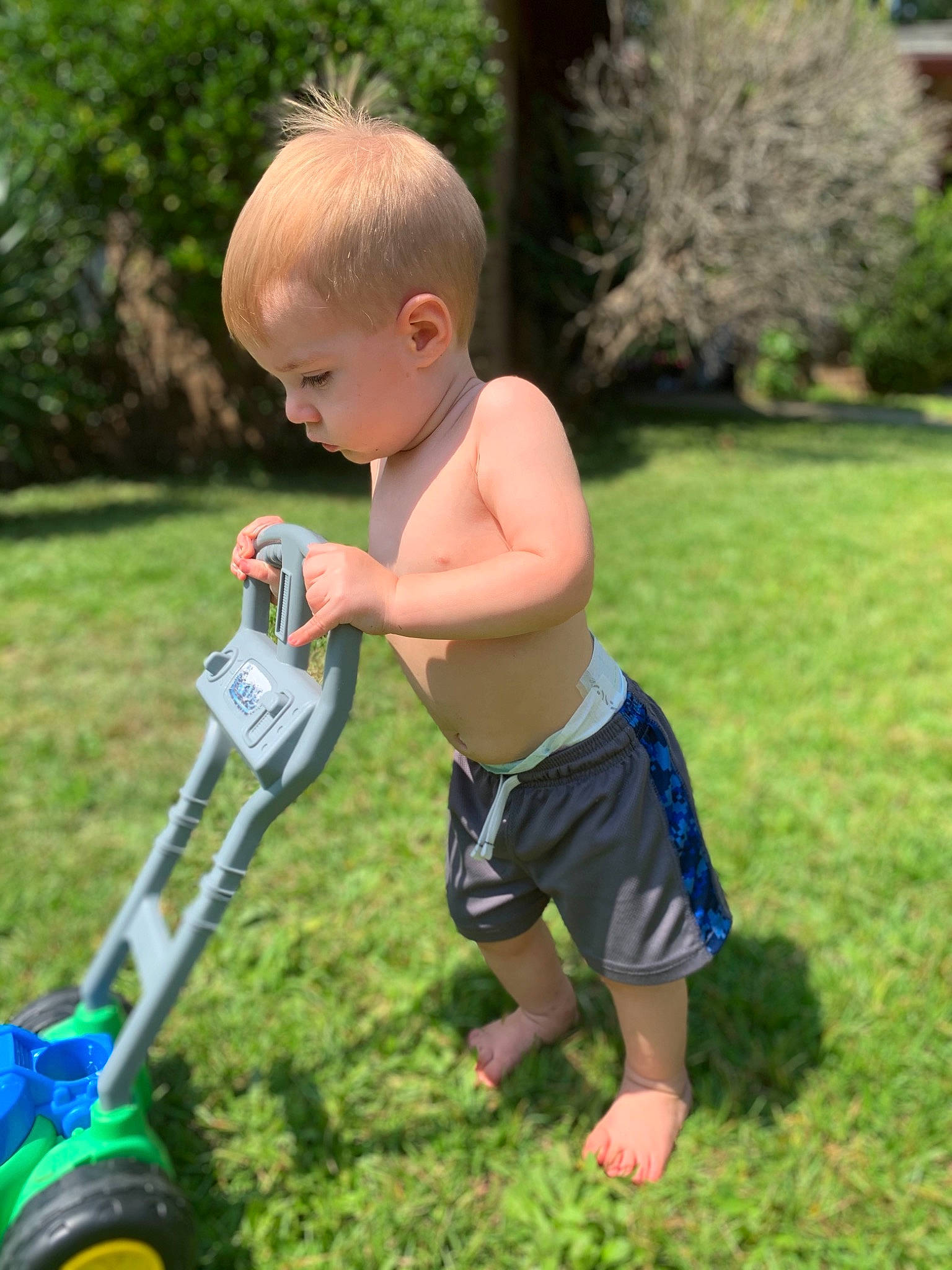 Elijah joined the competition — help win amazing prizes! child, grass, lawn, outdoor_power_equipment, person, play, toddler, tool, vehicle, yard