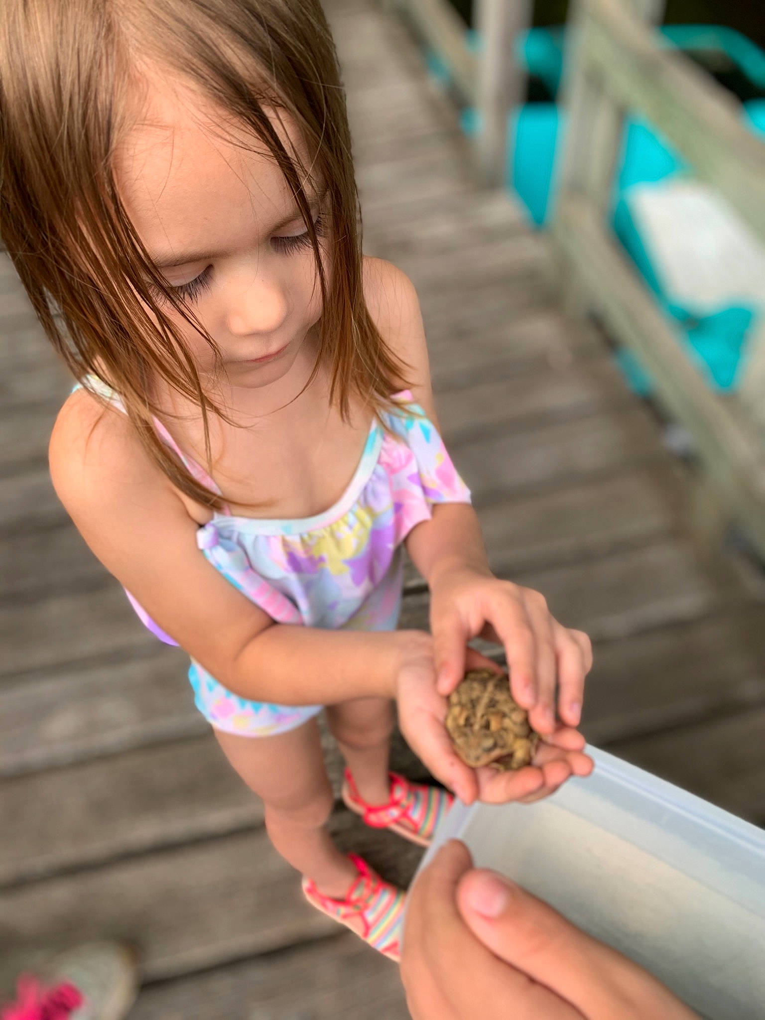 Alexandria joined the competition — help win amazing prizes! child, finger, hand, person, plant, play, summer, toddler, vacation