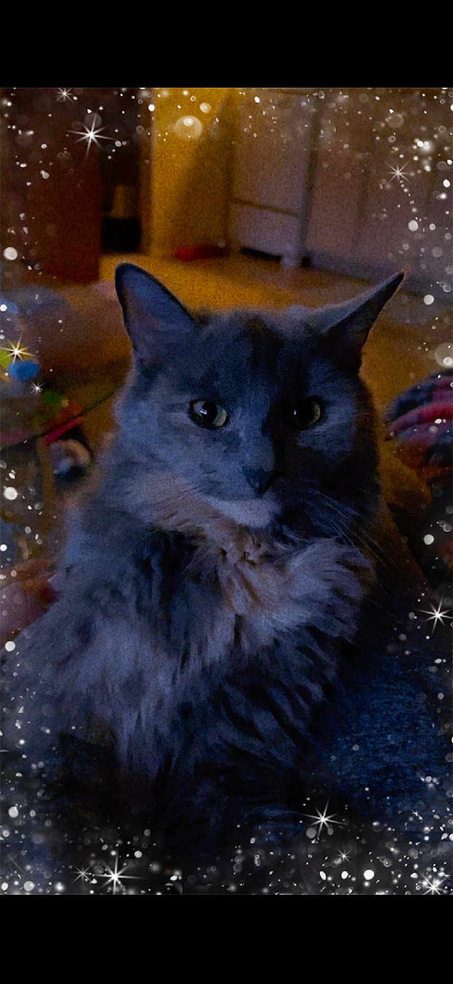 Coco