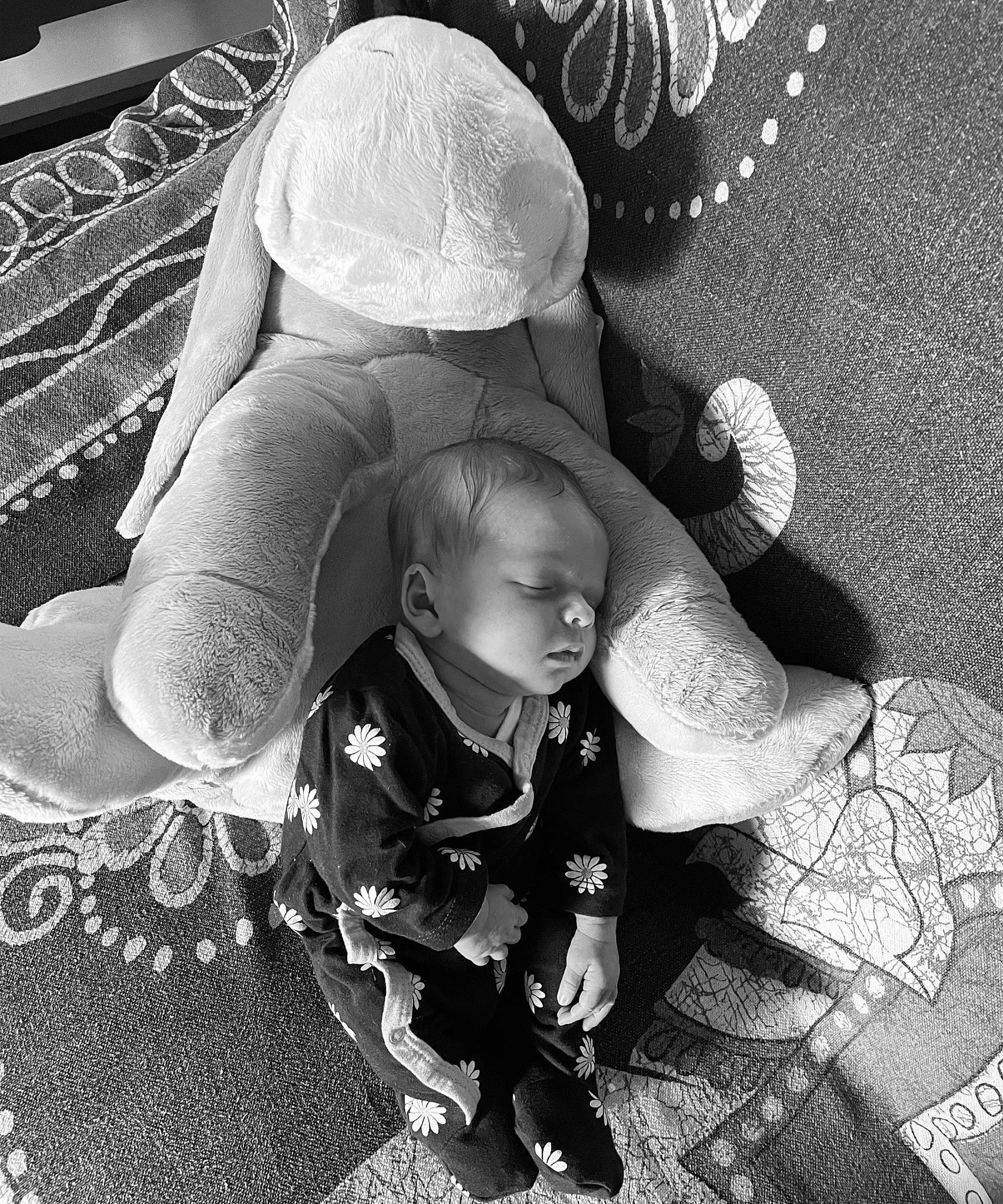 Alice a rejoint le concours — aidez-le/la à gagner de superbes lots ! baby, baby_products, black, black_and_white, child, comfort, fashion_accessory, flash_photography, gesture, grass, happy, monochrome, monochrome_photography, pattern, people_in_nature, person, sitting, still_life_photography, stock_photography, style