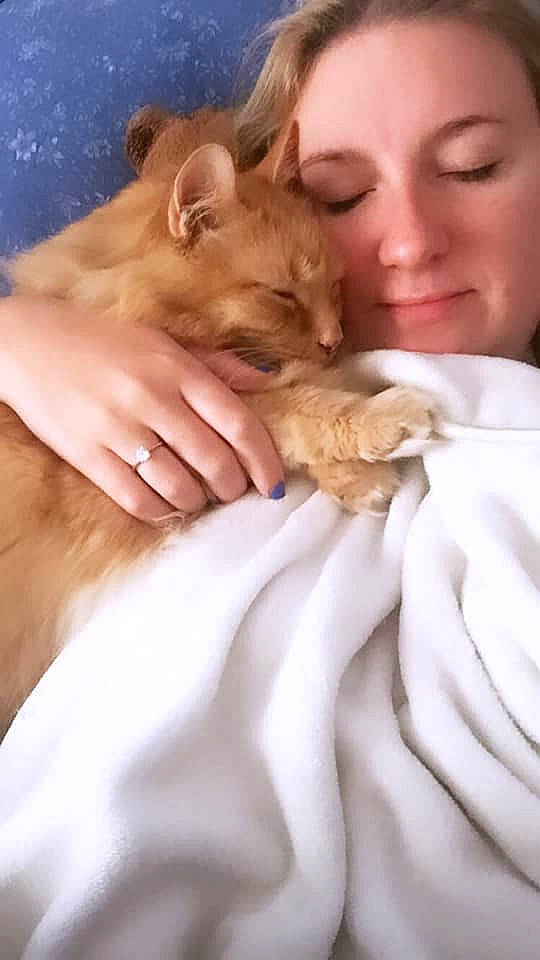 Henri joined the competition — help win amazing prizes! canidae, carnivore, cat, child, companion_dog, ear, fawn, felidae, hand, puppy, puppy_love, skin