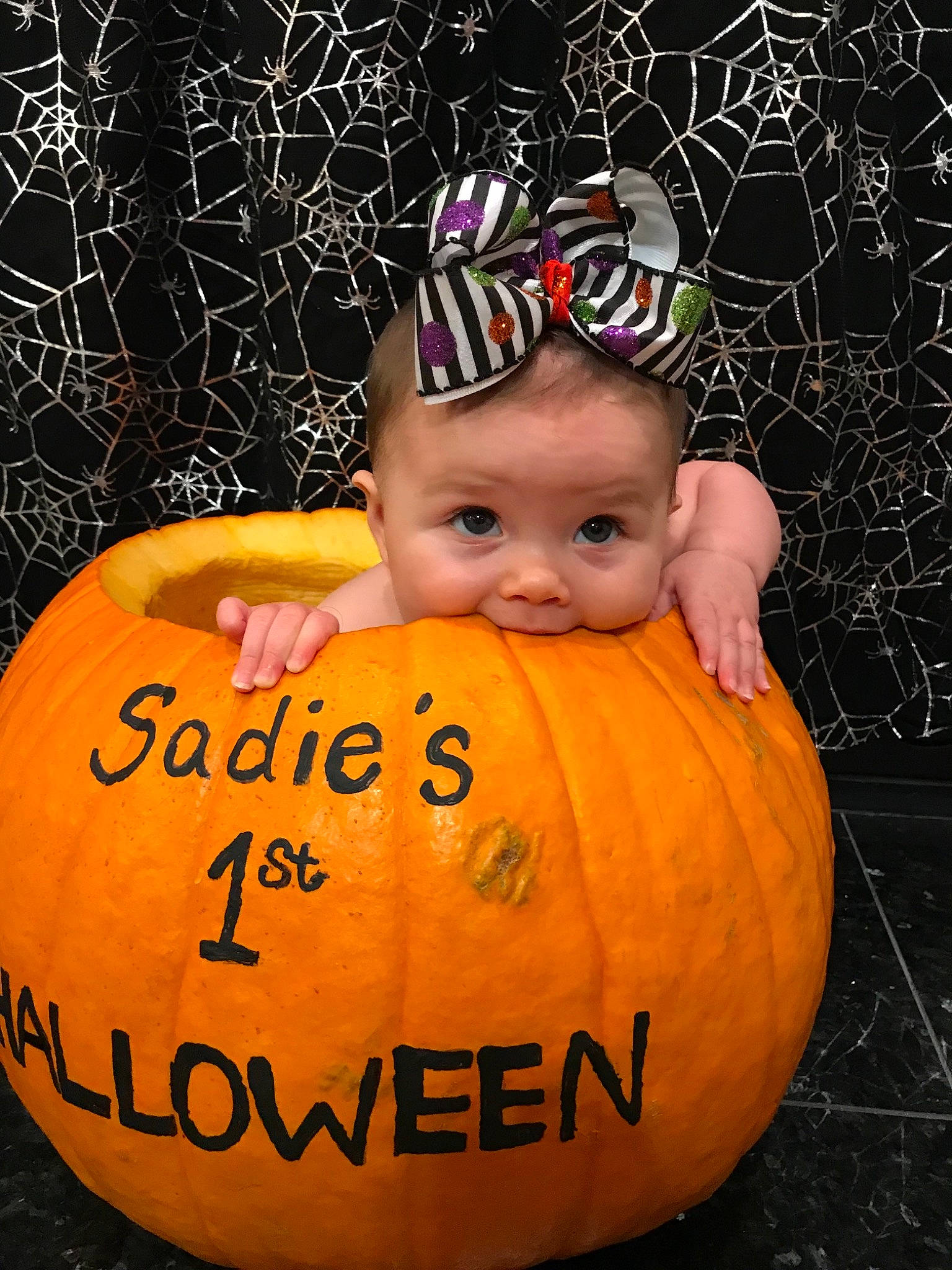 Sadie Grace is registered to the contest to win money with this photo: _and_melon_family, _gourd, baby, calabaza, child, cucumber, cucurbita, food, fruit, gourd, jack_o_lantern, joy, orange, person, plant, pumpkin, smile, squash, toddler, vegetable