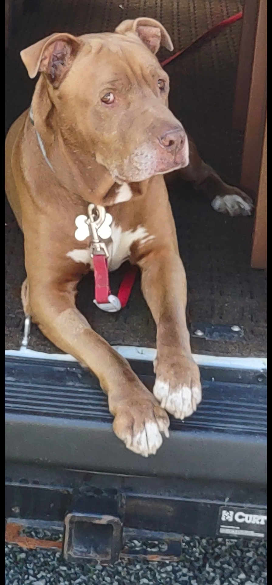 Clyde