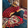 dog, pet, red_shirt, couch, blanket, bird_pattern, indoor, home, furniture, carpet, wooden_floor, relaxed, looking_back, cozy, plaid, canine, domestic_animal, fur, resting, animal