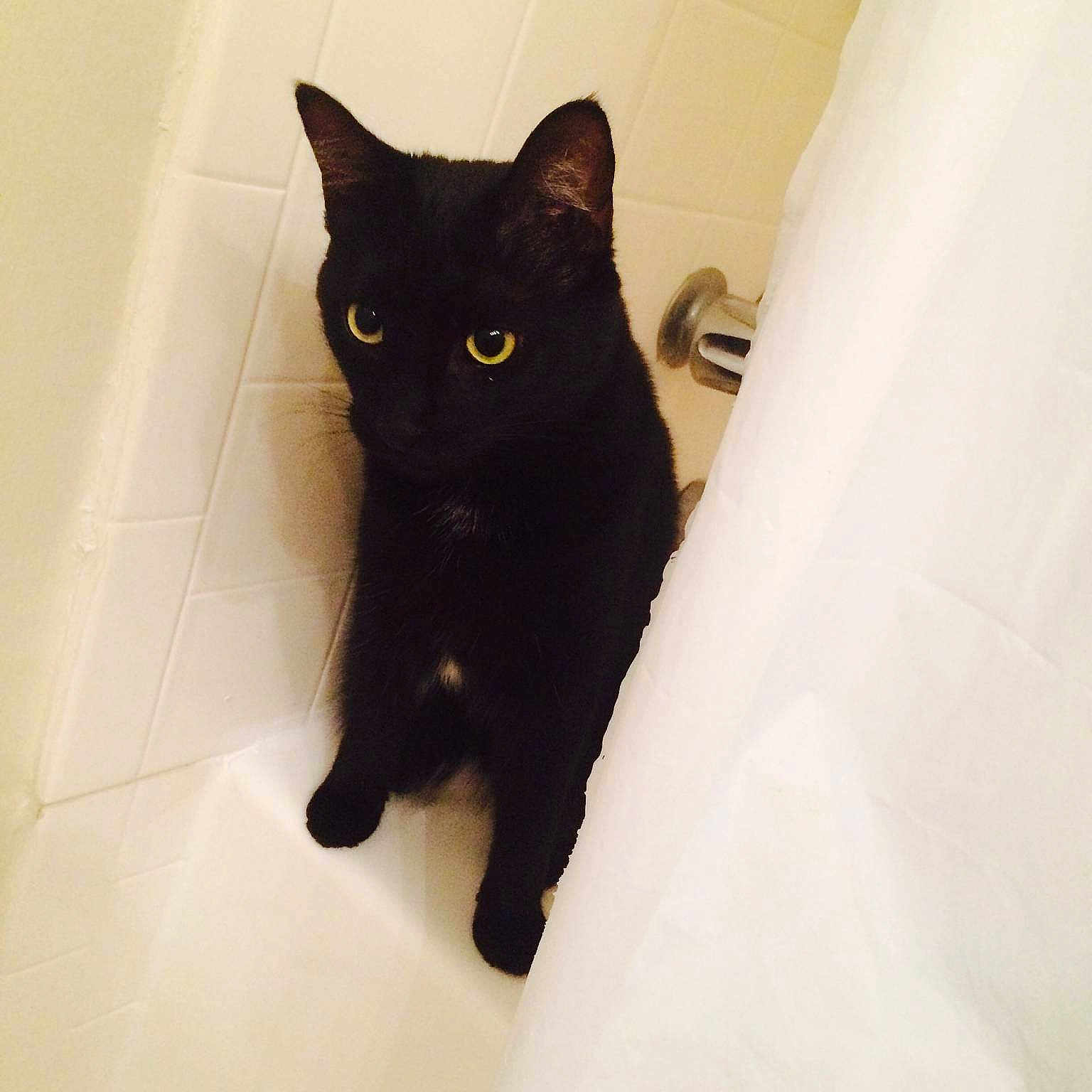 Dora is registered to the contest to win money with this photo: