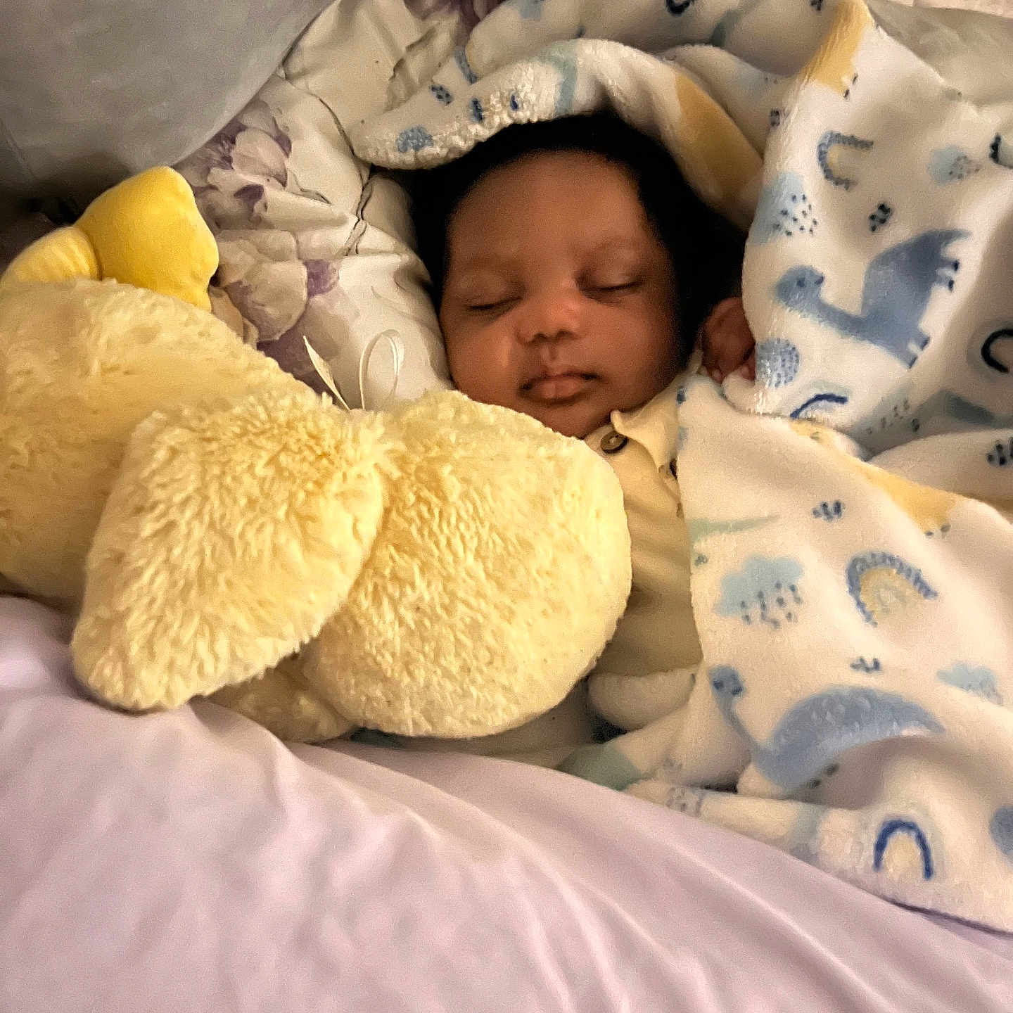 Jahyeir is registered to the contest to win money with this photo: baby, sleeping, blanket, stuffed_animal, plush, bed, cozy, child, infant, soft_toys, comfort, cute, rest, portrait, face, indoor, warm, peaceful, nursery, sleep