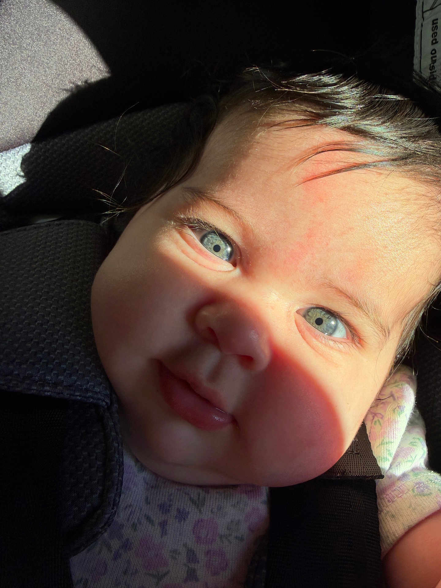 Cattaleya is registered to the contest to win money with this photo: baby, blue_eyes, close_up, car_seat, child, face, floral_outfit, infant, light_and_shadow, looking_at_camera, portrait, sitting, straps, young_child, cute, skin, hair, expression, daylight, indoors
