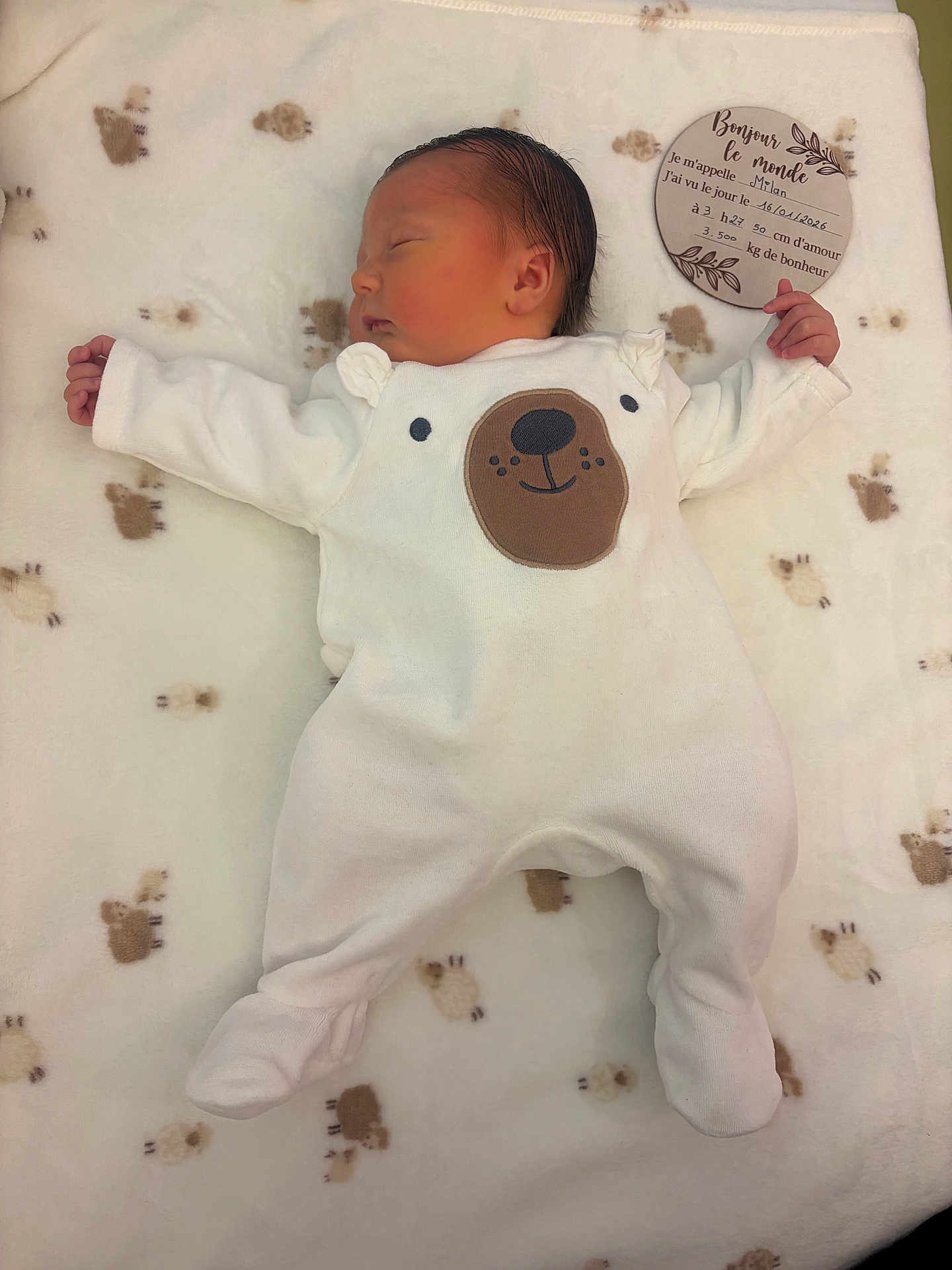 Milan participe au concours pour gagner de l'argent avec cette photo : newborn, baby, sleeping, onesie, bear_face, blanket, soft_texture, infant, cuteness, peaceful, wooden_sign, birth_details, lying_down, indoors, child, adorable, cute_outfit, baby_clothes, portrait, sleep