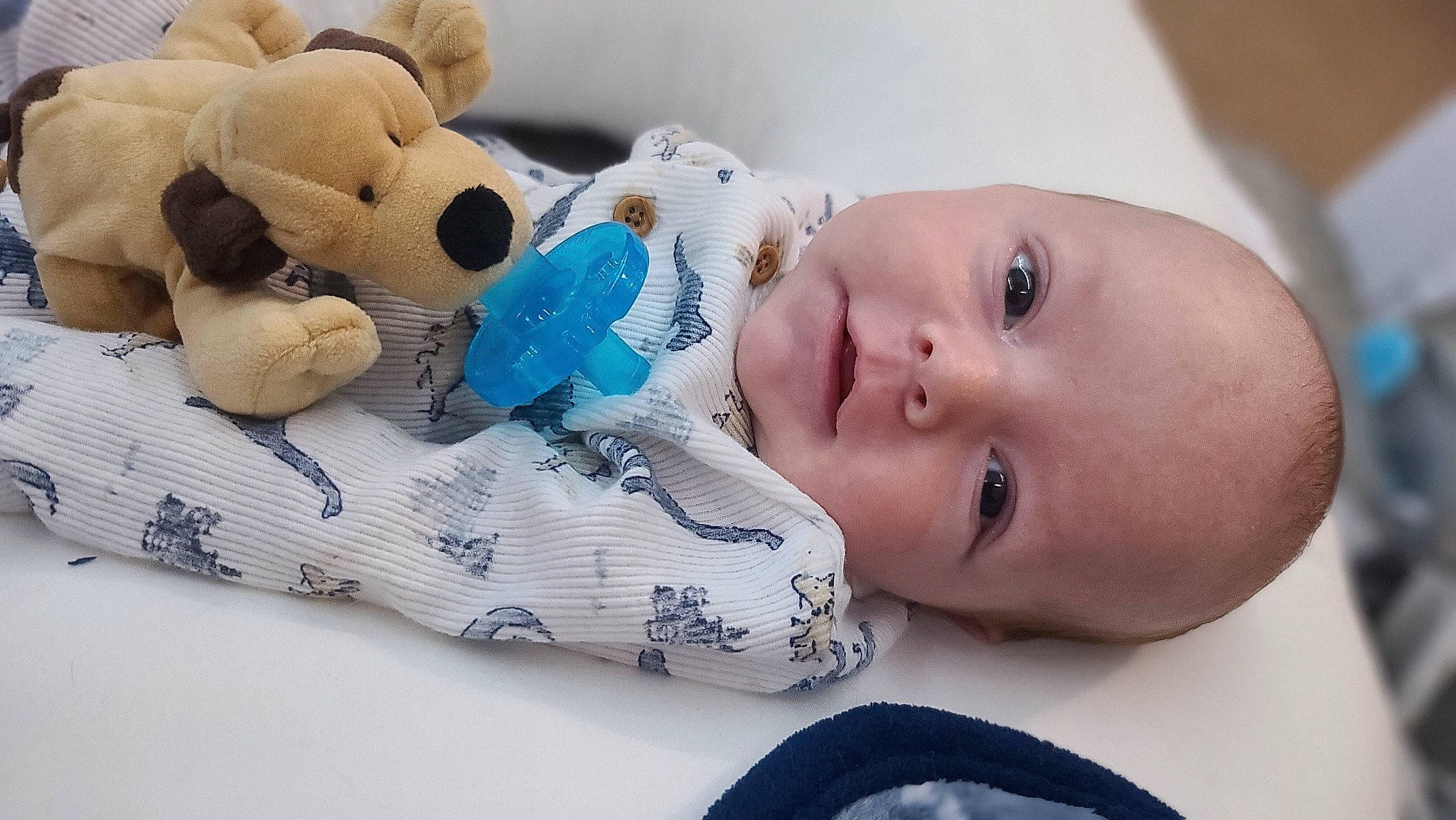 Linkin joined the competition — help win amazing prizes! baby, baby_products, baby_sleeping, baby_toddler_clothing, baby_toys, cheek, child, comfort, eyelash, facial_expression, iris, linens, pattern, person, plush, room, skin, sleeve, stuffed_toy, toddler