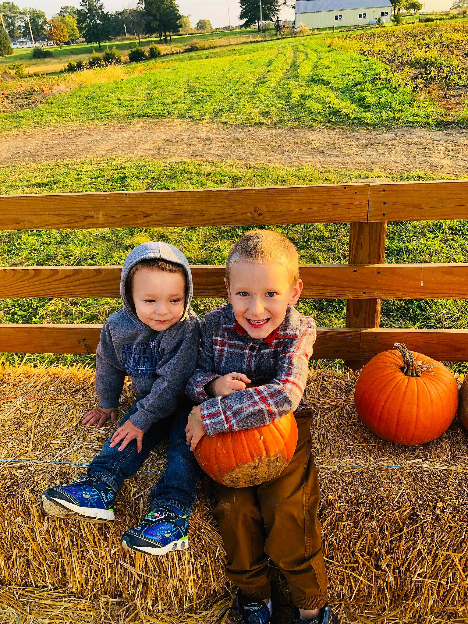 Kaisen joined the competition — help win amazing prizes! calabaza, cucurbita, face, fence, grass, green, happy, head, jeans, joy, leg, nature, orange, people, people_in_nature, person, plant, pumpkin, smile, toddler