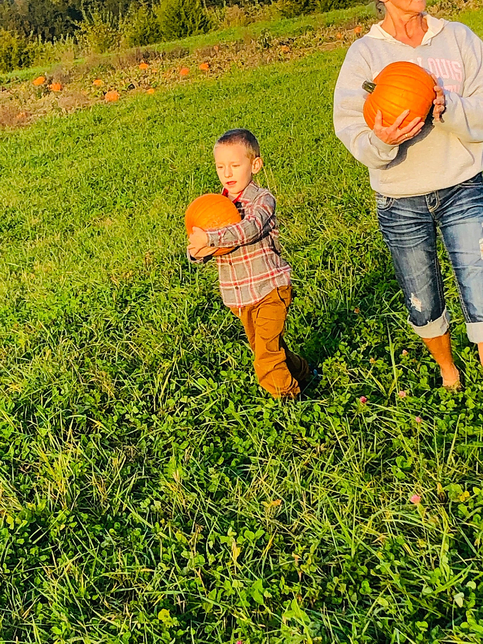Kaisen is registered to the contest to win money with this photo: ball, calabaza, child, field, fun, grass, grassland, groundcover, happy, landscape, lawn, meadow, natural_landscape, people_in_nature, person, plant, playing_with_kids, prairie, pumpkin, toddler
