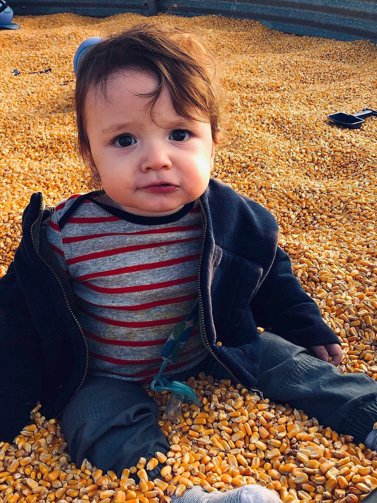Keeton is registered to the contest to win money with this photo: autumn, baby, baby_toddler_clothing, blue, cheek, child, eye, fun, grass, happy, iris, people_in_nature, person, photograph, portrait_photography, sitting, smile, snapshot, soil, toddler